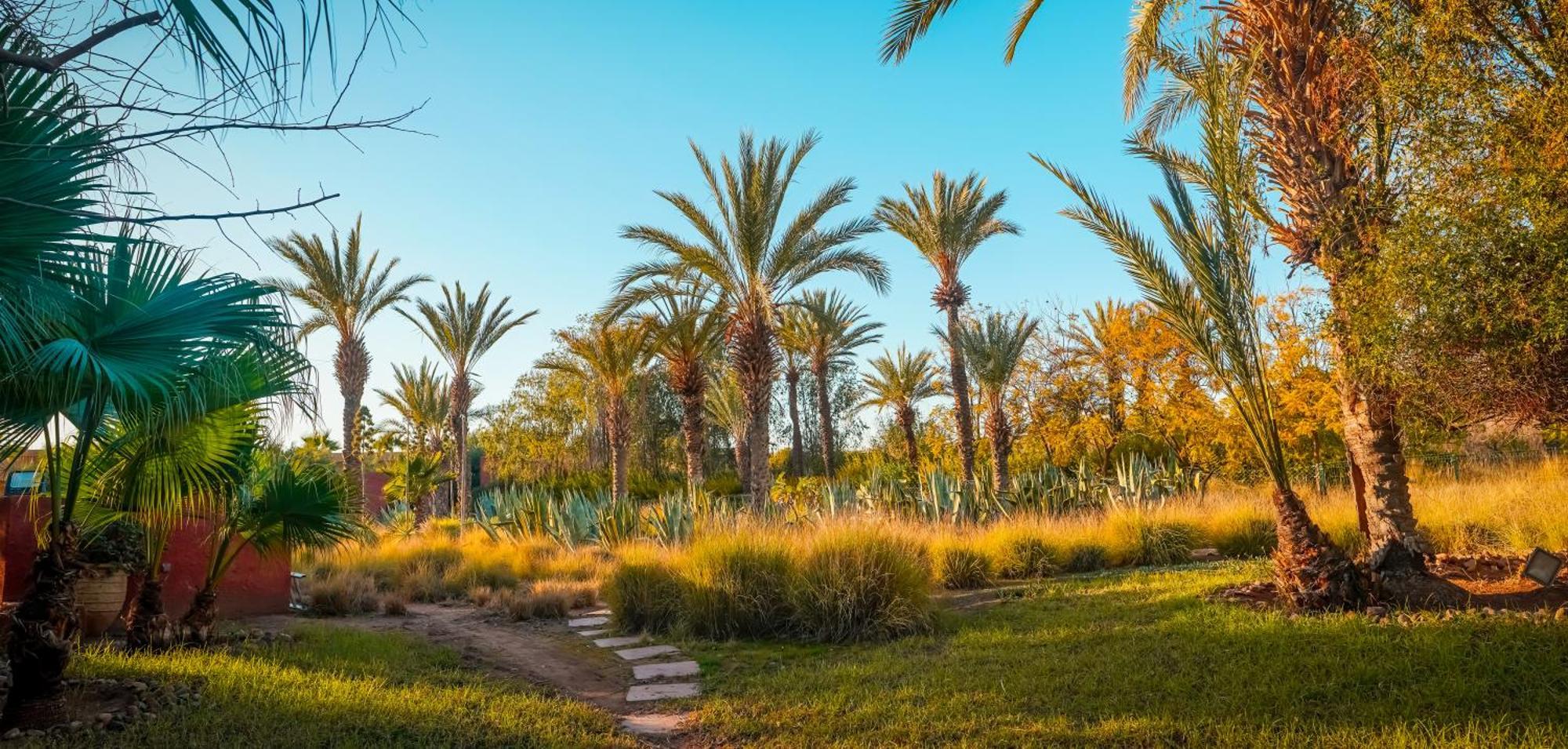 Готель Jnan Lotf Marrakech Ель-Харкат Екстер'єр фото